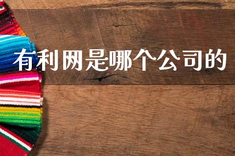 有利网是哪个公司的_https://m.fansifence.com_公募基金_第1张