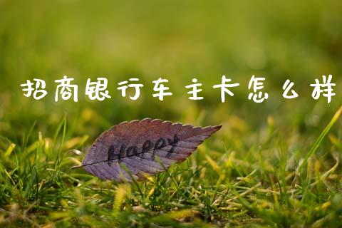 招商银行车主卡怎么样_https://m.fansifence.com_消费金融_第1张
