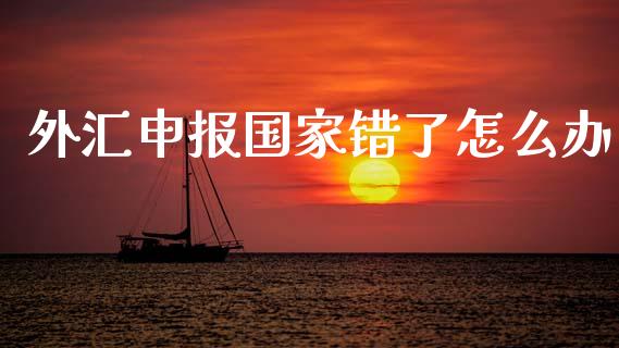 外汇申报国家错了怎么办_https://m.fansifence.com_消费金融_第1张