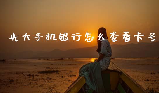 光大手机银行怎么查看卡号_https://m.fansifence.com_消费金融_第1张