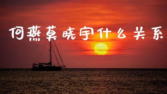 何燕莫晓宇什么关系_https://m.fansifence.com_个股行情_第1张