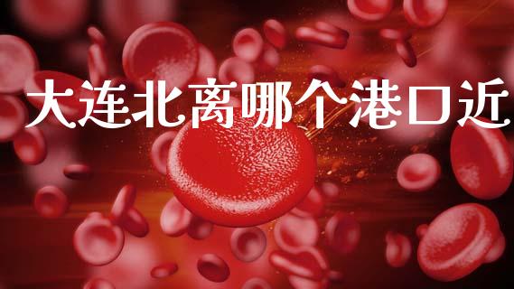 大连北离哪个港口近_https://m.fansifence.com_个股行情_第1张