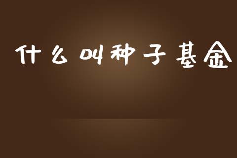 什么叫种子基金_https://m.fansifence.com_个股行情_第1张