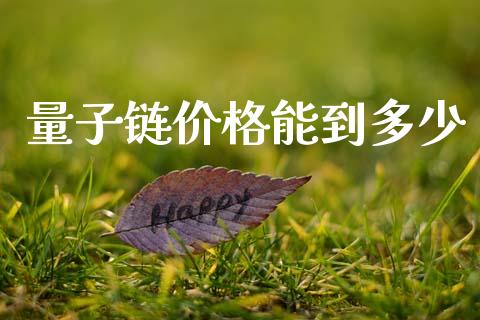 量子链价格能到多少_https://m.fansifence.com_贵金属行情_第1张