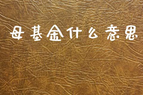 母基金什么意思_https://m.fansifence.com_贵金属行情_第1张