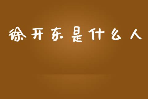 徐开东是什么人_https://m.fansifence.com_消费金融_第1张