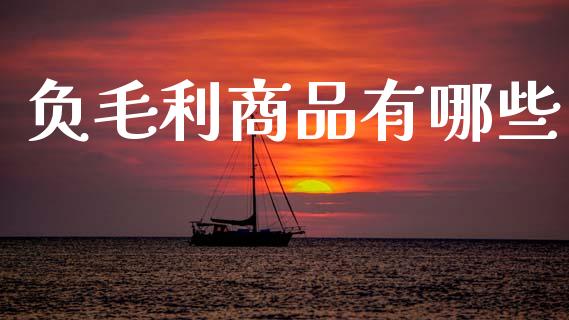 负毛利商品有哪些_https://m.fansifence.com_消费金融_第1张
