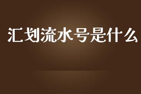 汇划流水号是什么_https://m.fansifence.com_个股行情_第1张