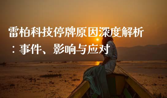 雷柏科技停牌原因深度解析：事件、影响与应对_https://m.fansifence.com_消费金融_第1张