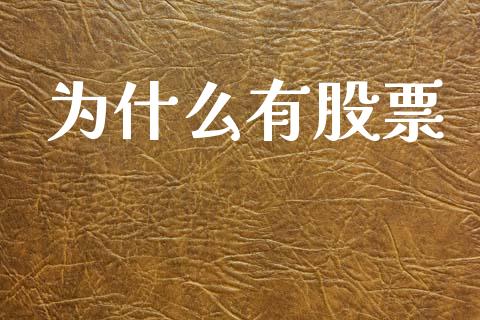 为什么有股票_https://m.fansifence.com_公募基金_第1张
