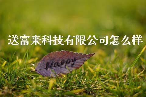 送富来科技有限公司怎么样_https://m.fansifence.com_贵金属行情_第1张
