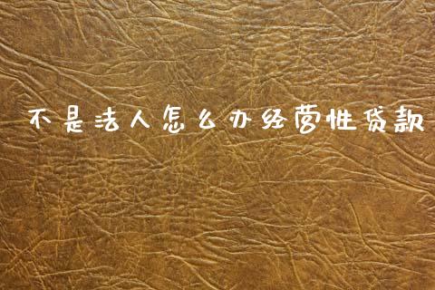 不是法人怎么办经营性贷款_https://m.fansifence.com_公募基金_第1张