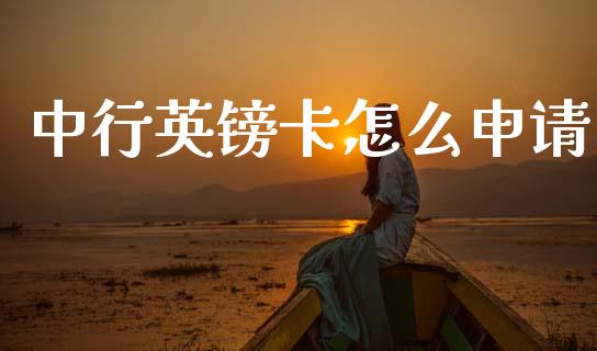 中行英镑卡怎么申请_https://m.fansifence.com_消费金融_第1张