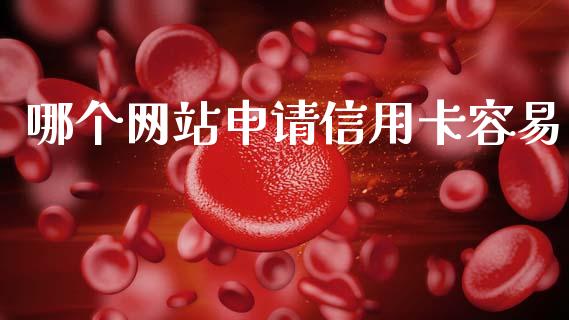 哪个网站申请信用卡容易_https://m.fansifence.com_消费金融_第1张