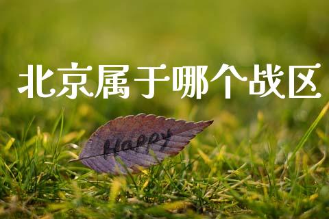 北京属于哪个战区_https://m.fansifence.com_贵金属行情_第1张