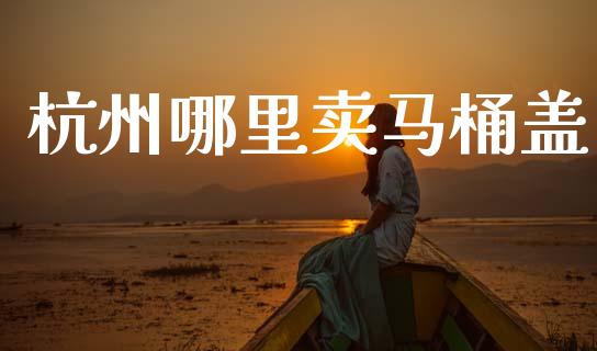 杭州哪里卖马桶盖_https://m.fansifence.com_消费金融_第1张
