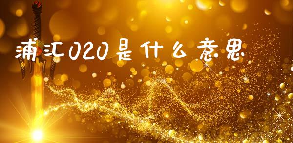 浦汇020是什么意思_https://m.fansifence.com_贵金属行情_第1张
