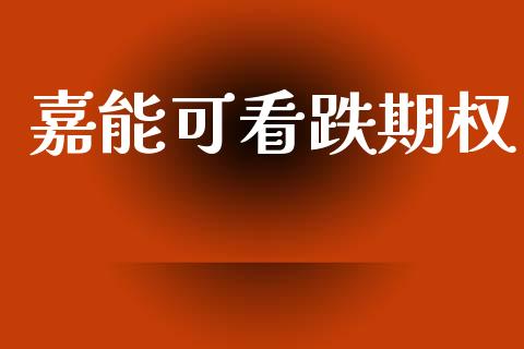 嘉能可看跌期权_https://m.fansifence.com_消费金融_第1张