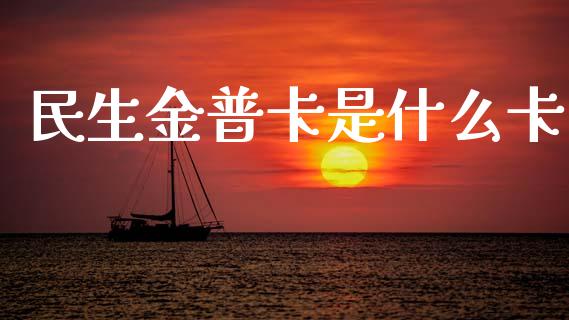 民生金普卡是什么卡_https://m.fansifence.com_消费金融_第1张