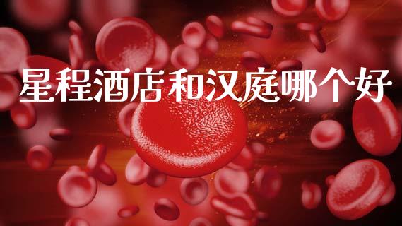 星程酒店和汉庭哪个好_https://m.fansifence.com_贵金属行情_第1张