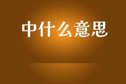 中什么意思_https://m.fansifence.com_消费金融_第1张