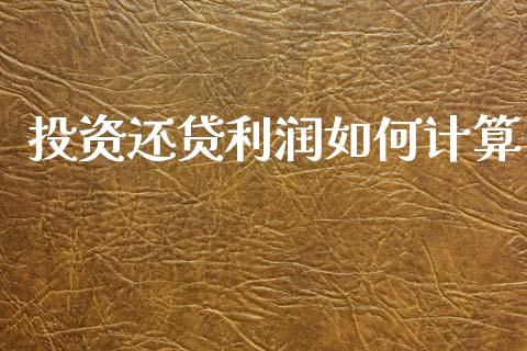 投资还贷利润如何计算_https://m.fansifence.com_贵金属行情_第1张