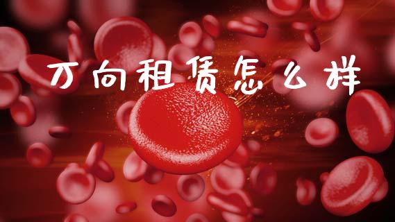 万向租赁怎么样_https://m.fansifence.com_贵金属行情_第1张