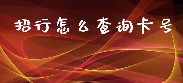 招行怎么查询卡号_https://m.fansifence.com_消费金融_第1张