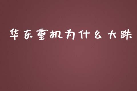华东重机为什么大跌_https://m.fansifence.com_个股行情_第1张