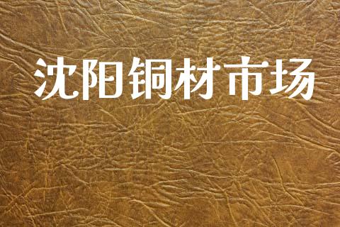 沈阳铜材市场_https://m.fansifence.com_消费金融_第1张
