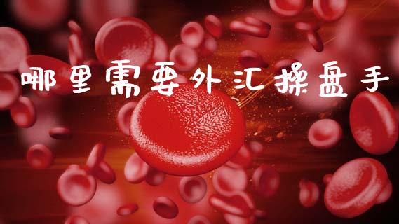 哪里需要外汇操盘手_https://m.fansifence.com_公募基金_第1张