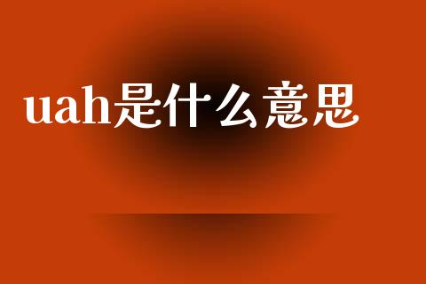 uah是什么意思_https://m.fansifence.com_公募基金_第1张