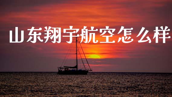 山东翔宇航空怎么样_https://m.fansifence.com_消费金融_第1张