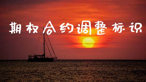 期权合约调整标识_https://m.fansifence.com_个股行情_第1张