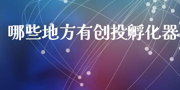 哪些地方有创投孵化器_https://m.fansifence.com_消费金融_第1张