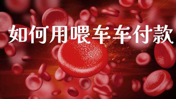 如何用喂车车付款_https://m.fansifence.com_贵金属行情_第1张