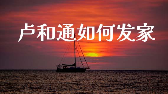 卢和通如何发家_https://m.fansifence.com_贵金属行情_第1张