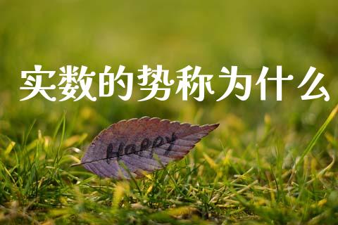 实数的势称为什么_https://m.fansifence.com_个股行情_第1张