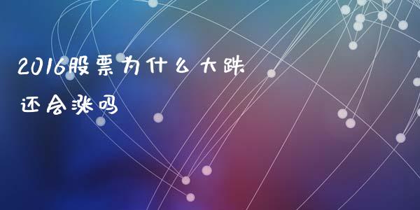 2016股票为什么大跌 还会涨吗_https://m.fansifence.com_个股行情_第1张