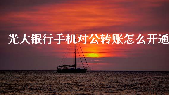 光大银行手机对公转账怎么开通_https://m.fansifence.com_消费金融_第1张