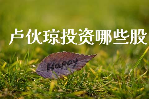 卢伙琼投资哪些股_https://m.fansifence.com_贵金属行情_第1张