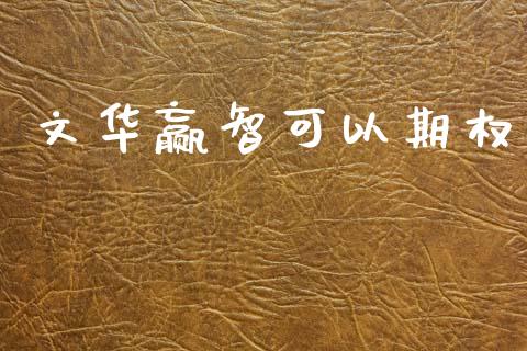 文华赢智可以期权_https://m.fansifence.com_个股行情_第1张