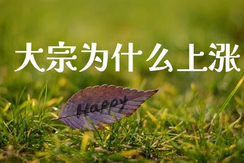 大宗为什么上涨_https://m.fansifence.com_消费金融_第1张