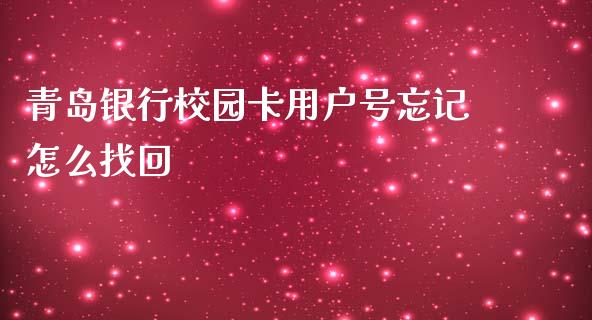 青岛银行校园卡用户号忘记怎么找回_https://m.fansifence.com_消费金融_第1张