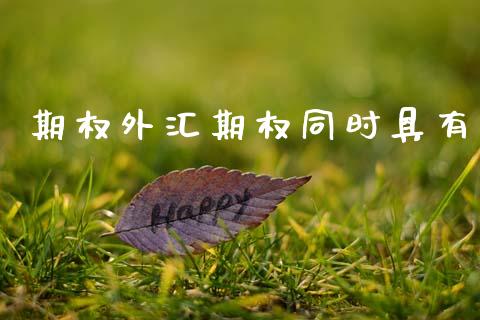 期权外汇期权同时具有_https://m.fansifence.com_公募基金_第1张