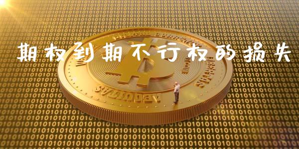 期权到期不行权的损失_https://m.fansifence.com_公募基金_第1张