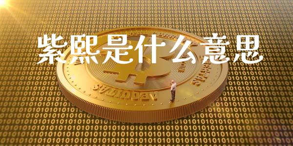 紫熙是什么意思_https://m.fansifence.com_消费金融_第1张