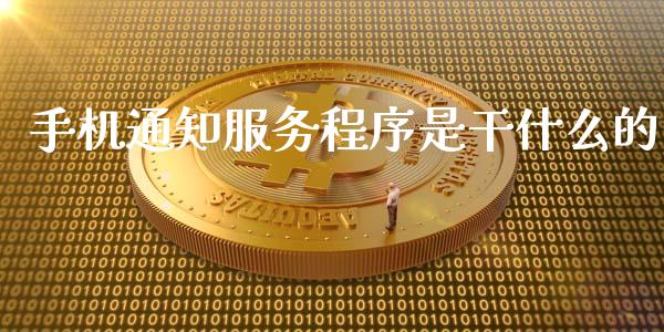 手机通知服务程序是干什么的_https://m.fansifence.com_公募基金_第1张