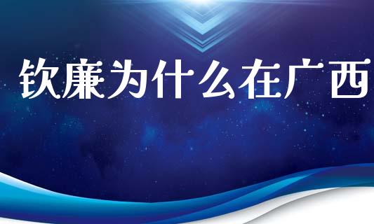 钦廉为什么在广西_https://m.fansifence.com_消费金融_第1张