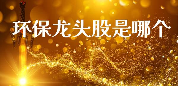 环保龙头股是哪个_https://m.fansifence.com_贵金属行情_第1张